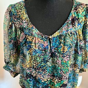 Twelfth Street by Cynthia Vincent blouse